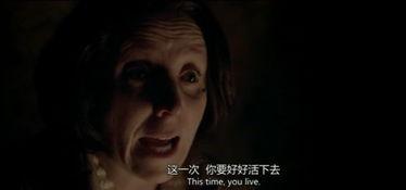 复生 第一季,穿越时空的生死救赎