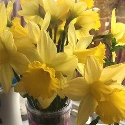 报春花铁路的孩子们,孩子们的铁路生活画卷